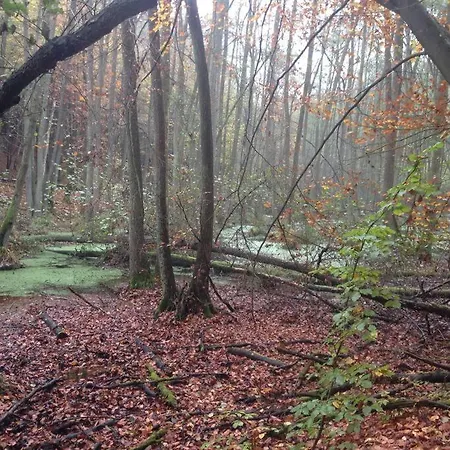 Fewo Im Naturschutzgebiet, Mit Schoenem Blick Templin Exterior photo