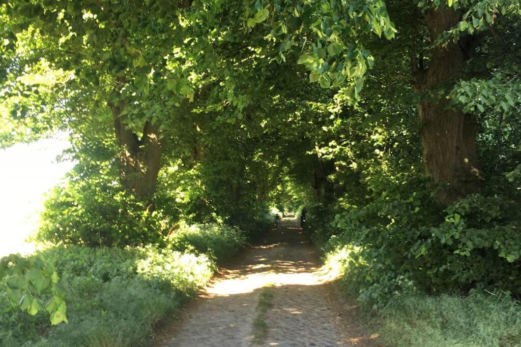 Im Naturschutzgebiet, Mit Schoenem Blick Apartament *