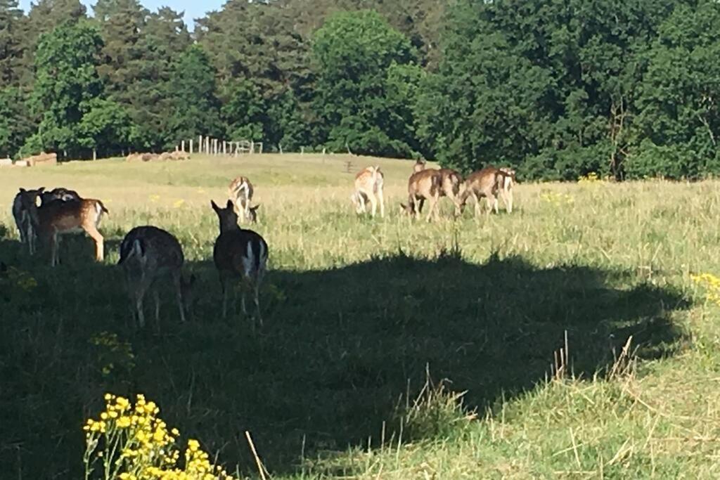 Im Naturschutzgebiet, Mit Schoenem Blick Templin