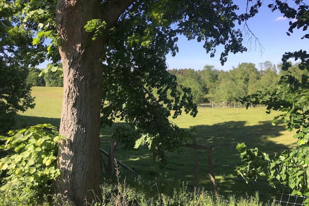 Im Naturschutzgebiet, Mit Schoenem Blick *